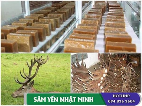 Tác dụng của nhung hươu đối với sự phát triển của trẻ em