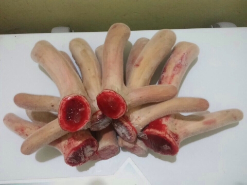 Tăng cường sinh lực nhờ nhung hươu