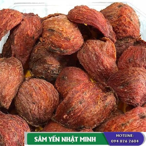 Tổ yến đỏ là gì ?