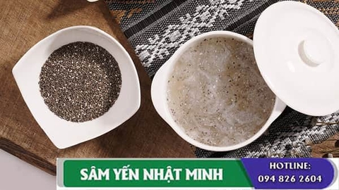 Tổ Yến Hạt Chia - Nguồn Dinh Dưỡng Tuyệt Vời