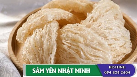 Tổ Yến Sào Để Được Bao Lâu Là Tốt Nhất
