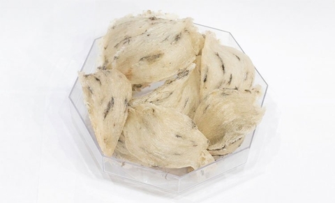 Tổng hợp báo giá tổ yến năm 2019