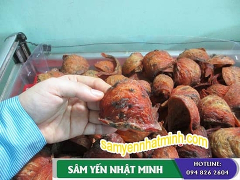 TỔ YẾN HUYẾT CÓ TÁC DỤNG GÌ ?