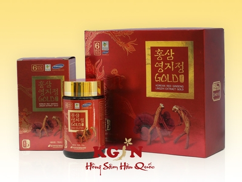 Cao Hồng sâm Linh chi Pocheon Hàn Quốc hộp 2 lọ x 240g