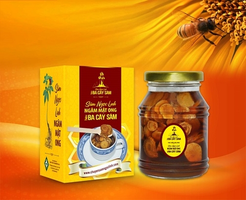 Sâm Ngọc Linh ngâm mật ong 100g