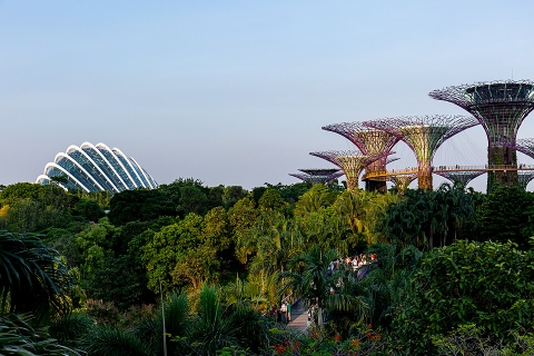 Gardens by the Bay, Singapore: Cẩm nang chuẩn bị chuyến đi cho khách Việt