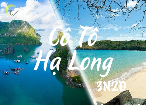 CÔ TÔ - HẠ LONG