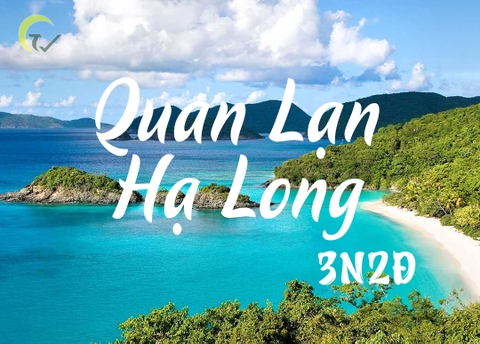 QUAN LẠN - HẠ LONG