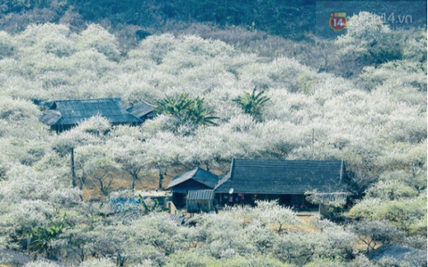 Tour Mộc Châu – Nà Ka – Thác Dải Yếm 2 ngày 1 đêm