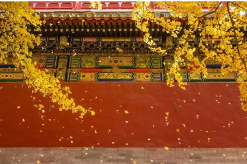 Săn Lá Vàng Tại Cố Cung Tử Cấm Thành - Mẹo Hay Mà Bạn Cần Lưu Tâm