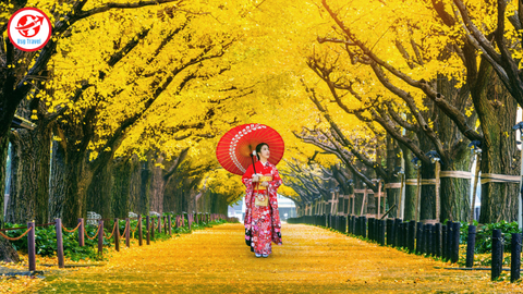 Tokyo - Thủ đô của những chiếc Lá vàng dành cho các con dân mê Săn Ảnh