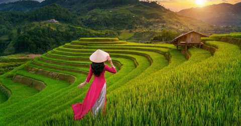 VISA Việt Nam dành cho nước ngoài