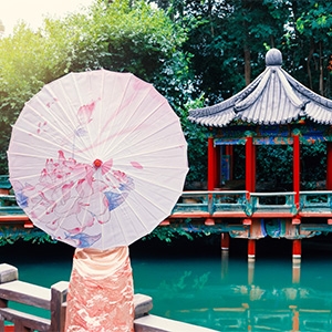 Dù Wagasa Nhật Bản vải dầu