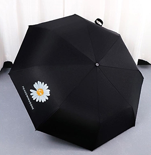 Dù xếp hoa cúc daisy Hàn Quốc