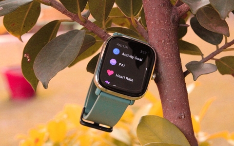 royal oak tourbillon