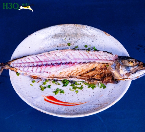 Cá Saba Mackerel (Nục Hoa) Na Uy nướng nguyên con