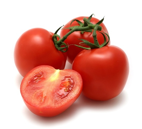 Cà chua hữu cơ Đà Lạt