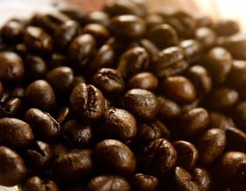 COFFEE ROBUSTA