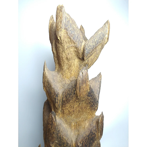 Gốc trầm phong thủy - Gốc Trầm cảnh - Trầm cảnh