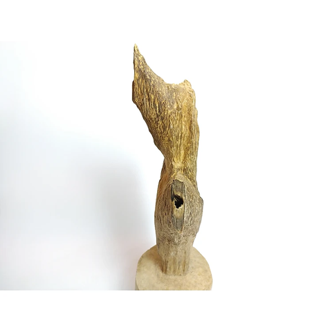 Gốc trầm