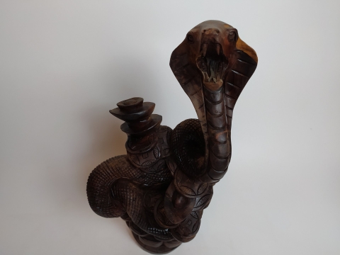 Rắn hổ mang - LV_11240121