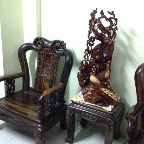 Mai Hồng Trĩ gỗ hương Gia Lai