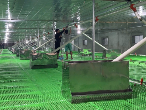 Máng Ăn Cho Vịt Inox – Giải Pháp Hoàn Hảo Cho Chăn Nuôi