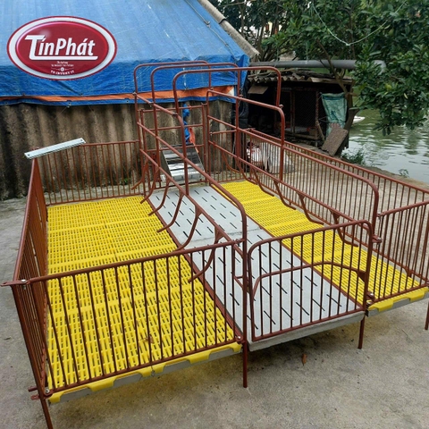 CHUỒNG HEO NÁI ĐẺ – THIẾT KẾ AN TOÀN, TIỆN LỢI, GIÚP HEO KHỎE MẠNH