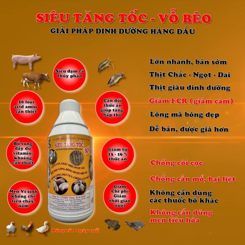 Vỗ béo vật nuôi Sản phẩm đặc biệt giúp tăng cường sức khỏe và phát triển cho vật nuôi của bạn