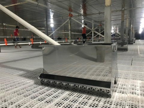 Máng Ăn Cho Vịt Inox – Giải Pháp Hoàn Hảo Cho Chăn Nuôi