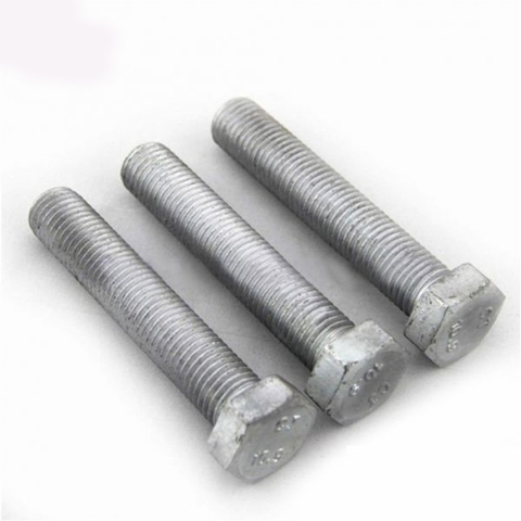 Bulon 12x50