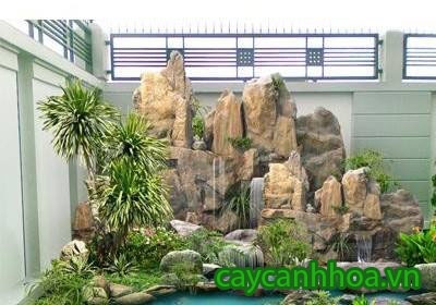 Tiểu Cảnh Sân Vườn