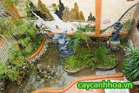 Tiểu Cảnh Sân Vườn 04