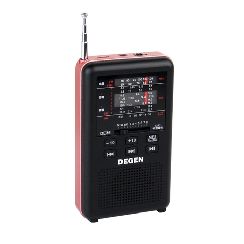 ĐÀI RADIO MP3 DEGEN DE- 36 ( đọc MP3 qua cổng TF card)