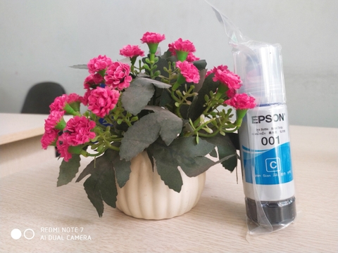 Mực in màu xanh Eco Tank 001 dùng cho máy in Epson L4150/L4160