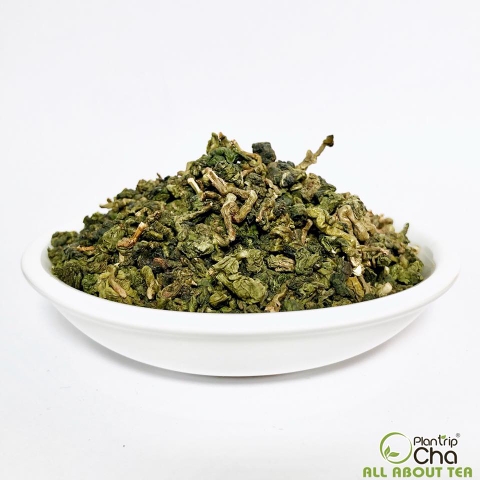 Trà Oolong Xanh Plantrip Cha