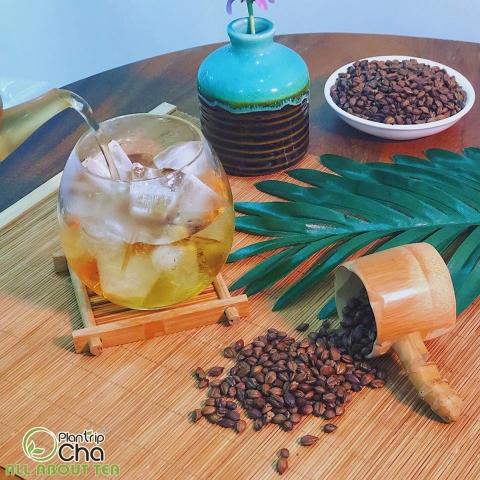 Trà Mugicha Nhật by Plantrip Cha