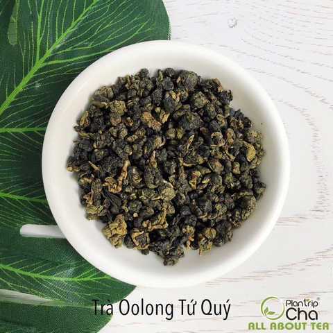 Trà Oolong Tứ Quý
