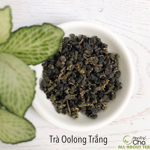 Trà Oolong Trắng