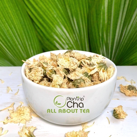 trà hoa cúc - trà hoa thảo mộc