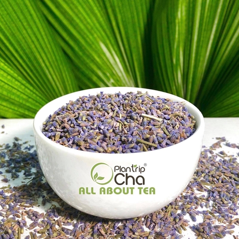 Trà Hoa Lavender - trả hoa thảo mộc