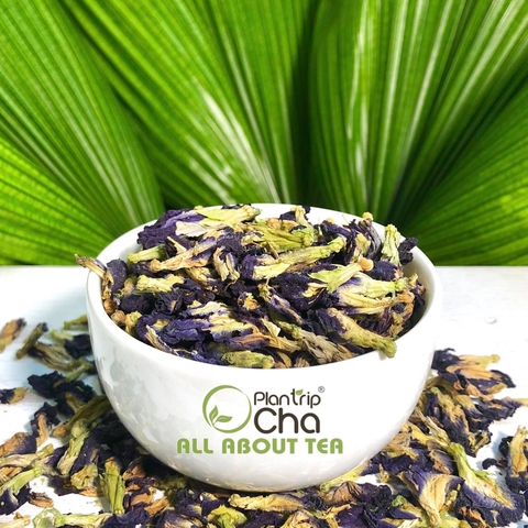 trà hoa đậu biết - trà hoa thảo mộc