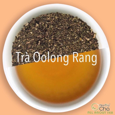 Trà Oolong Rang