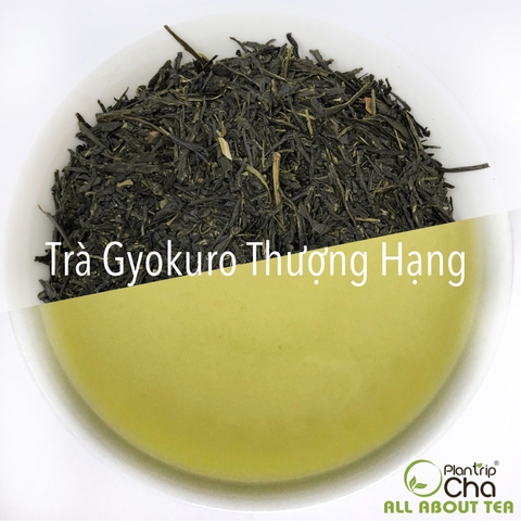Trà Xanh Gyokuro Thượng Hạng