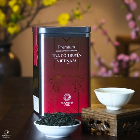 Trà Xanh Đinh Tân Cương Thượng Hạng