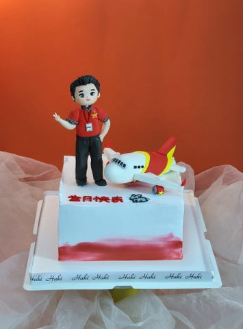 Bánh sinh nhật tạo hình máy bay và nam tiếp viên hàng không