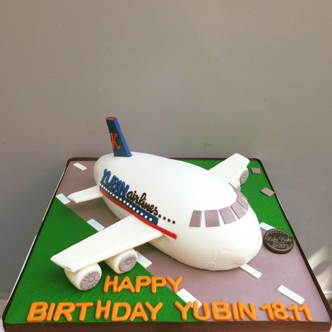 Bánh kem tạo hình máy bay chở khách