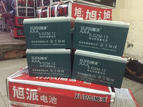 Ắc quy xe đạp điện Xupai - 04