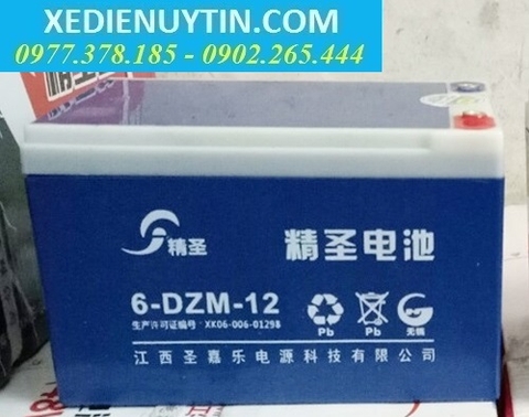 Ắc quy xe điện Tinh Thánh - 01