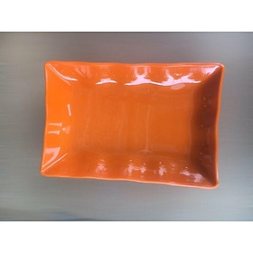 đĩa phíp hình chữ nhật đựng hạt dưa, đồ ăn vặt - Nhỏ (1256)